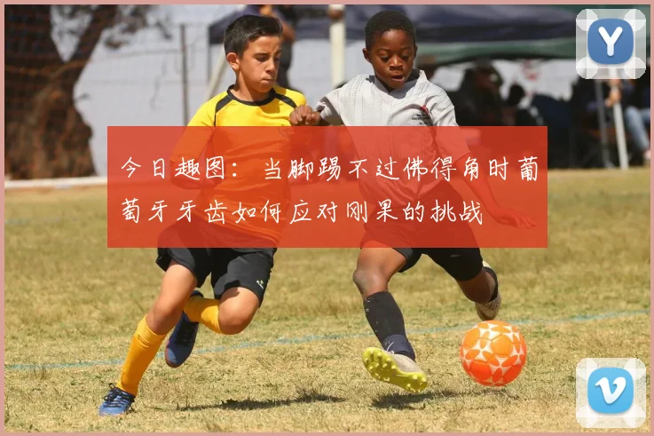 今日趣图：当脚踢不过佛得角时葡萄牙牙齿如何应对刚果的挑战